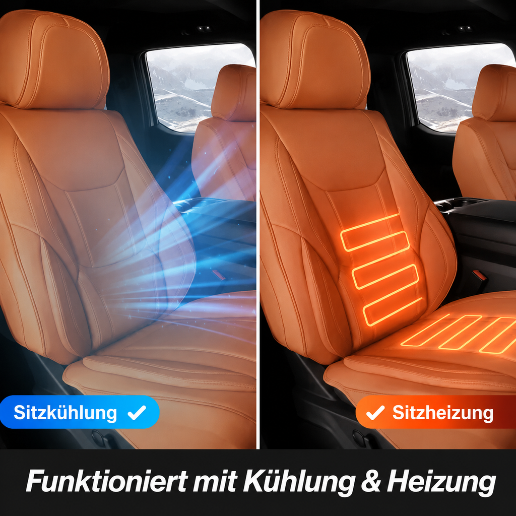 shared:braun-1